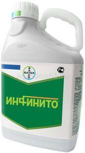 Инфинито Инфинито